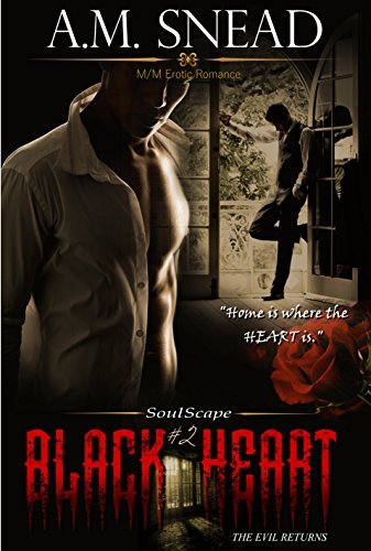 Soulscape book cover 2