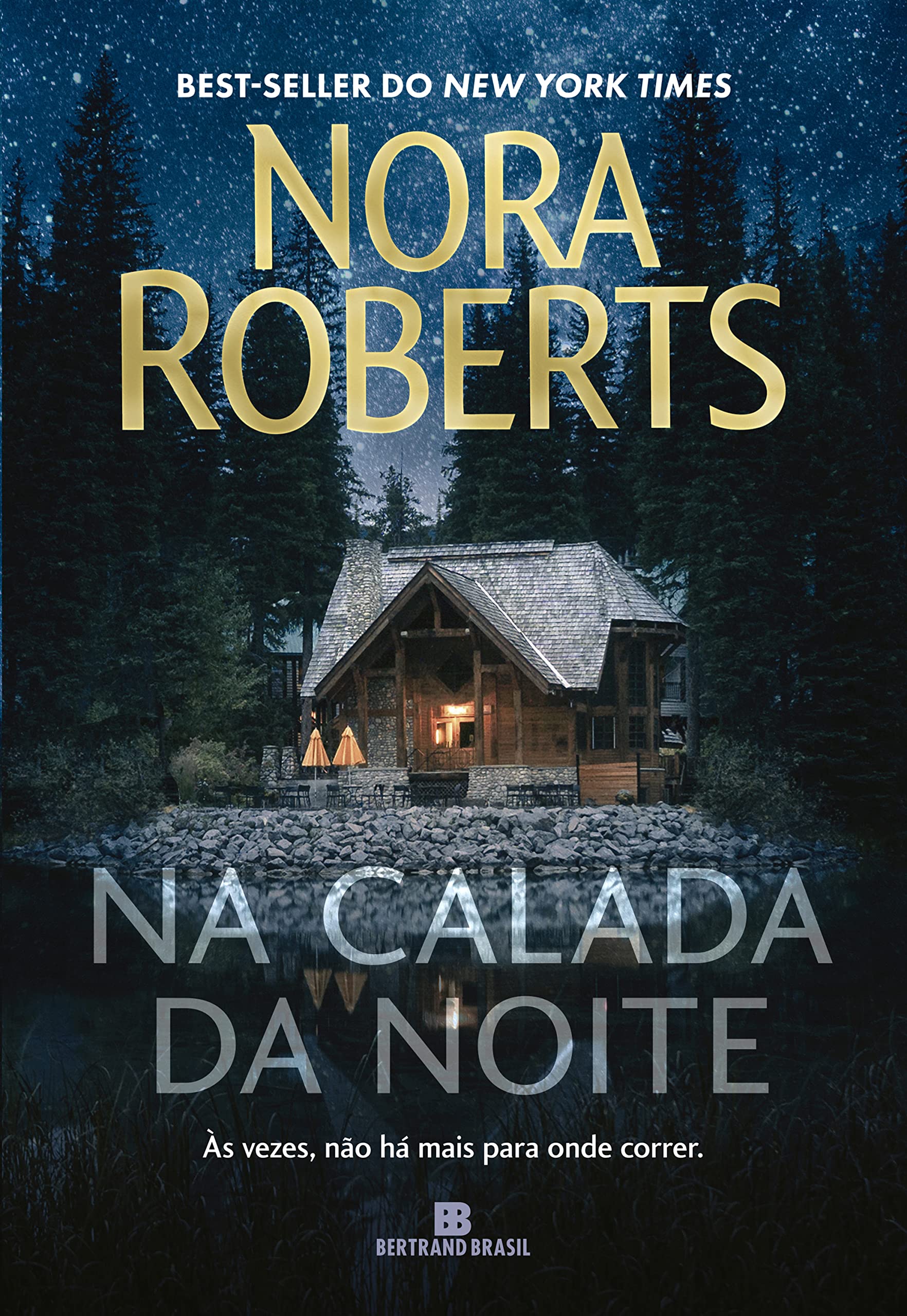 Na calada da noite book cover