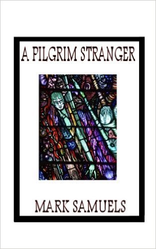 A Pilgrim Stranger book cover