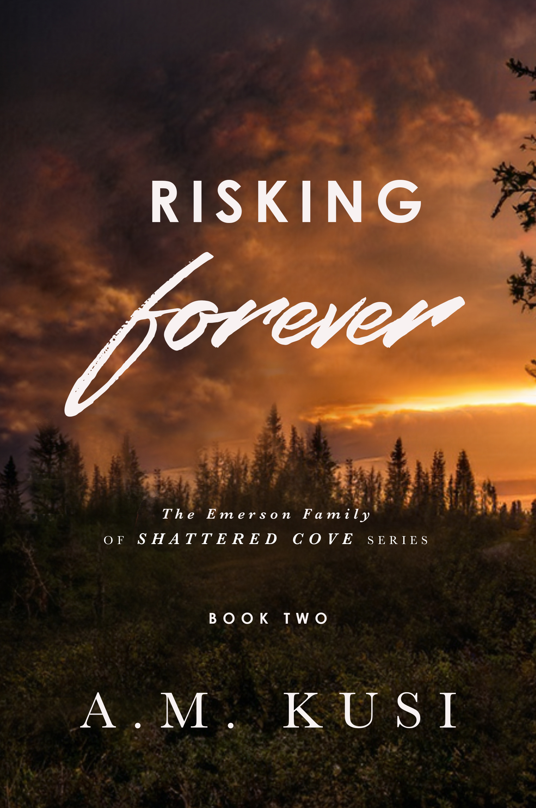 The Emerson Family of Shattered Cove book cover 2