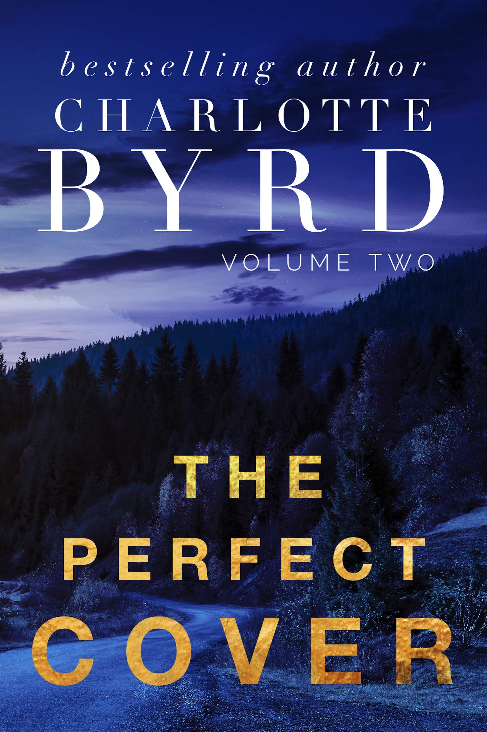 The Perfect Stranger book cover 2