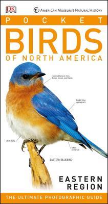 American Museum of Natural History book cover