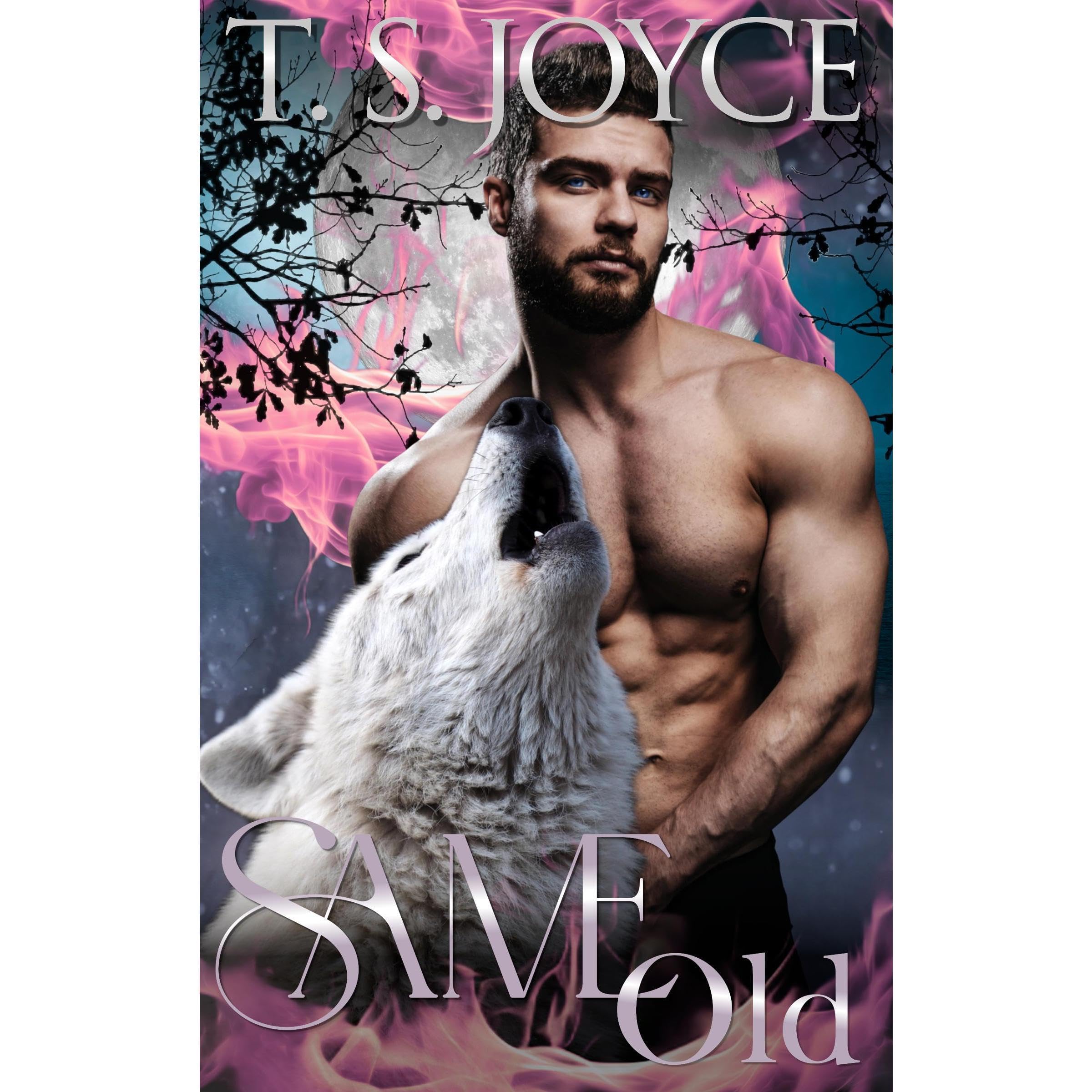 Same book cover 2