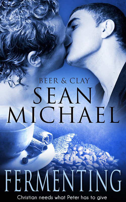 Fermenting book cover