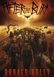 After the Burn book cover