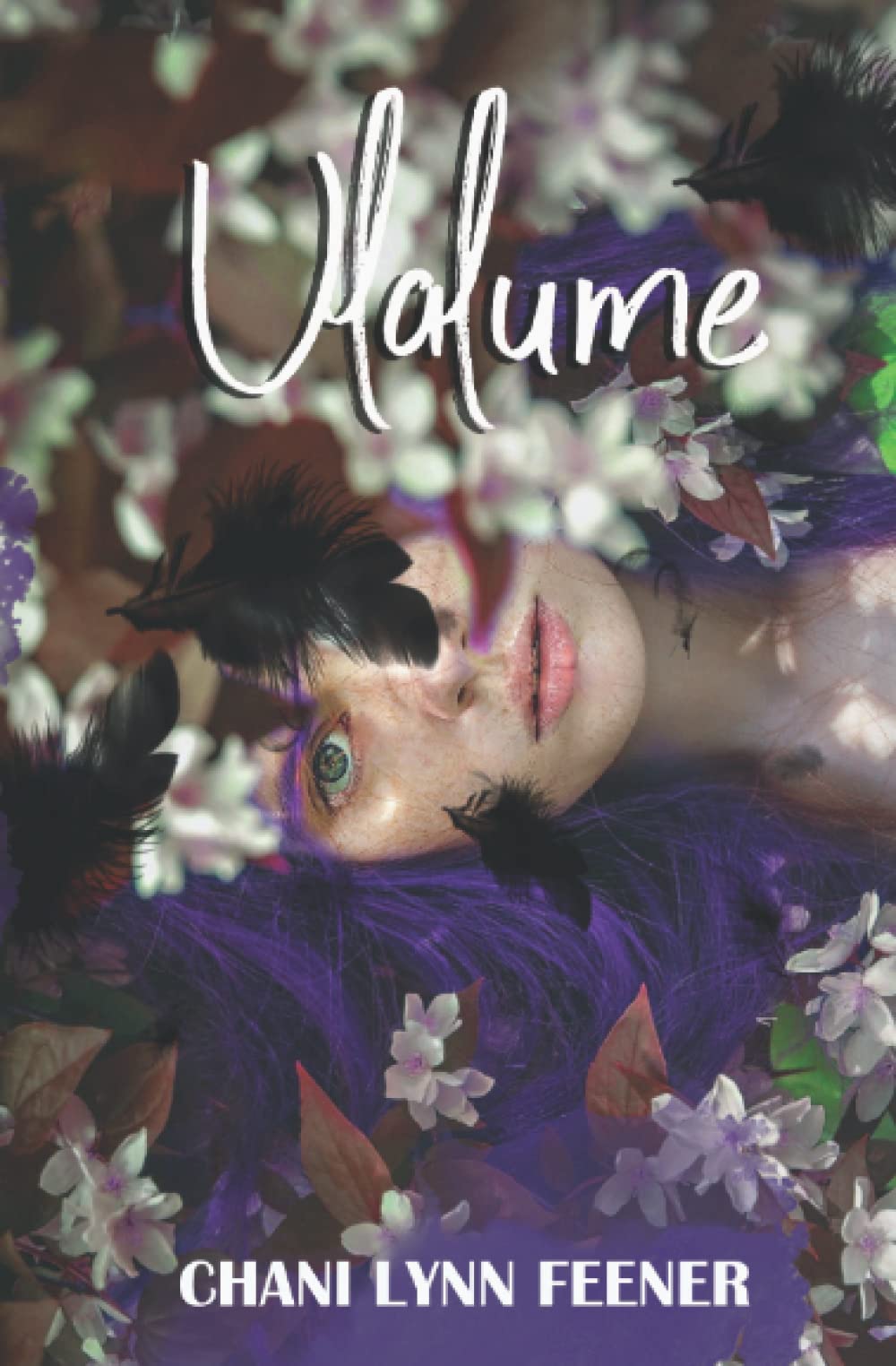 Ulalume book cover