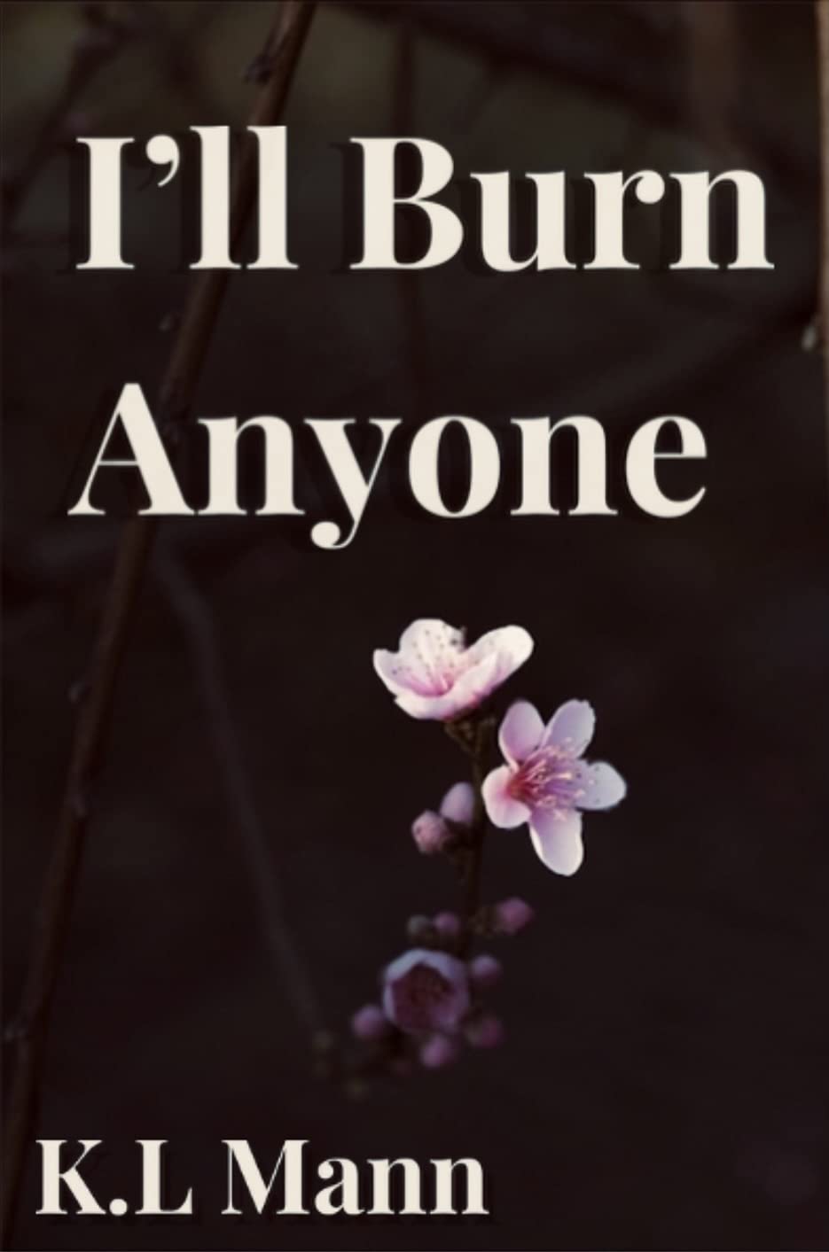 Challenge Night book cover 2