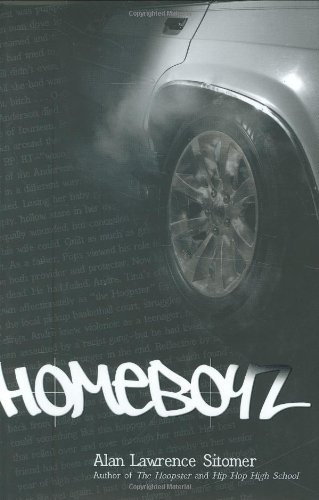 The Hoopster book cover 3
