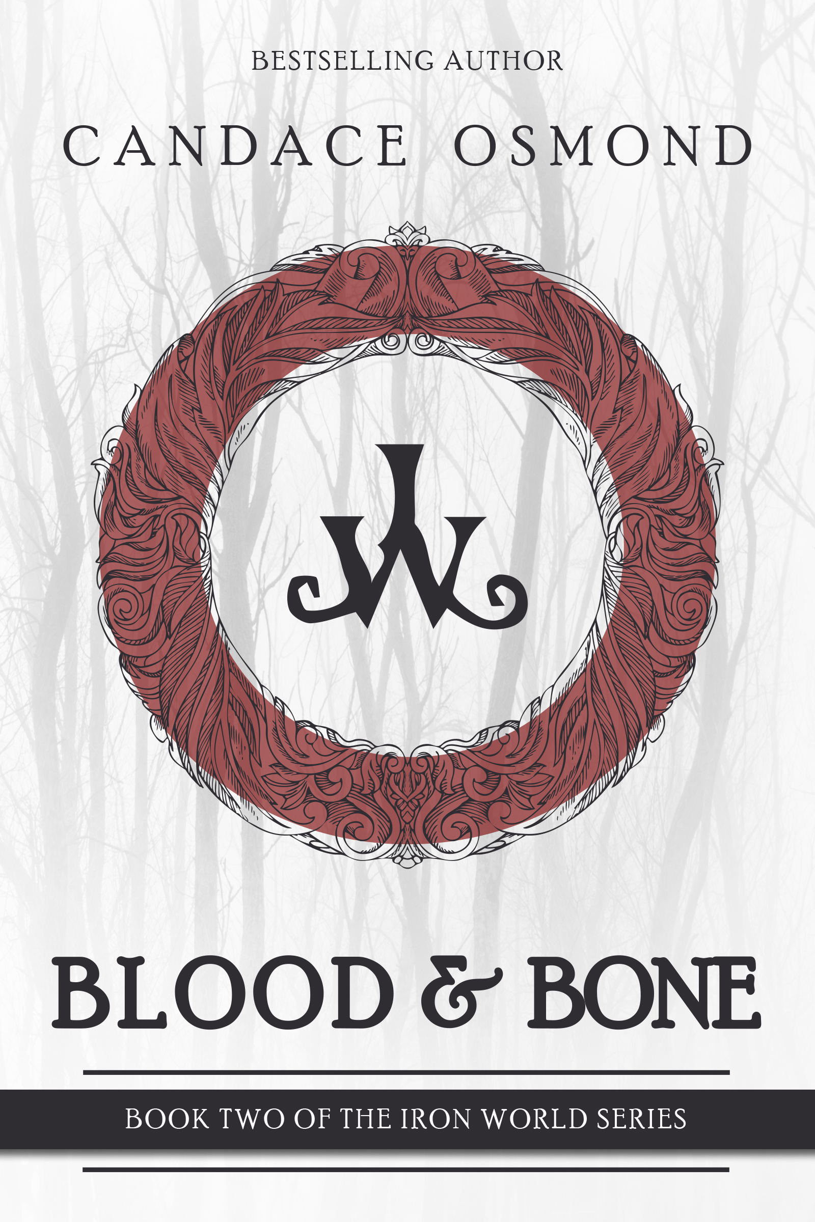 The Iron World book cover 2