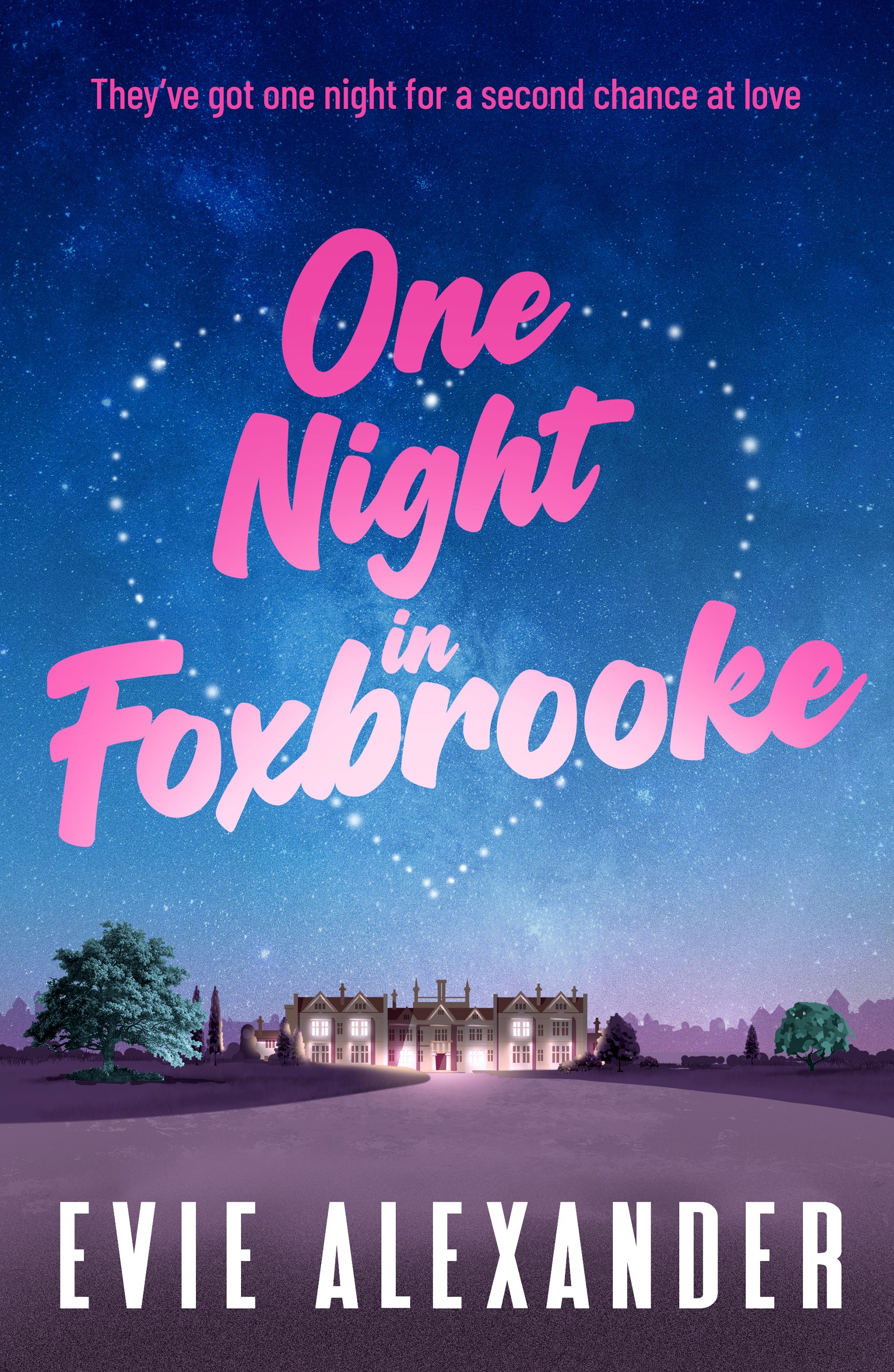 One Night in Foxbrooke book cover