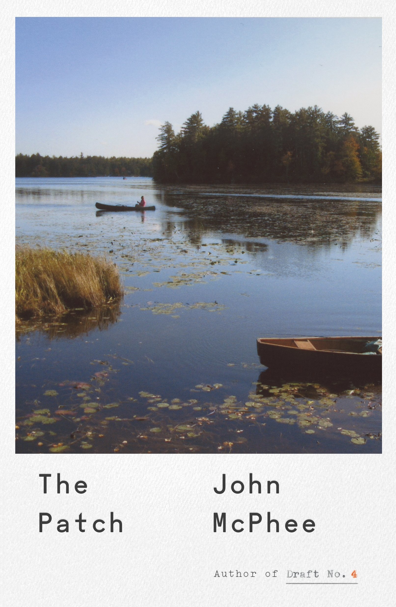 The Patch book cover