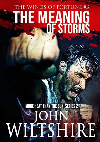 The Winds of Fortune book cover 3