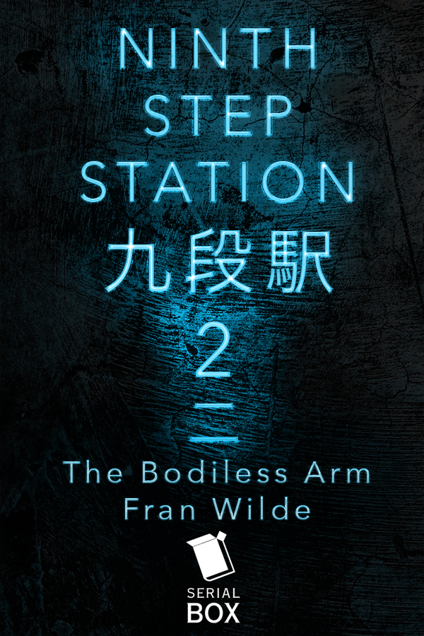 The Bodiless Arm book cover