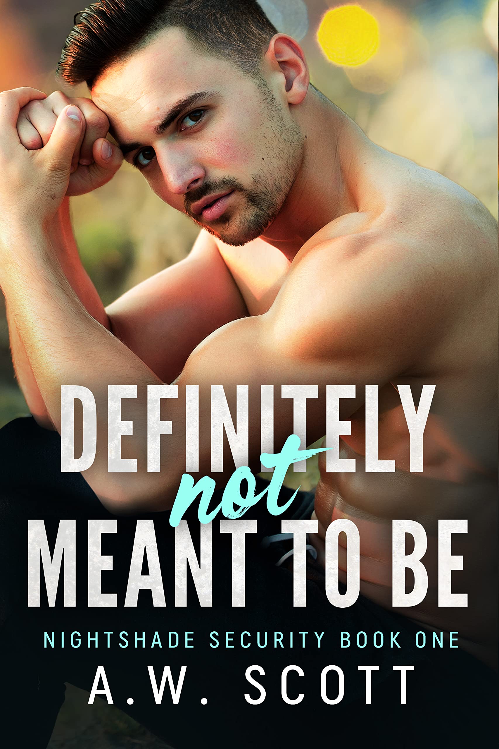 NightShade Security book cover 1