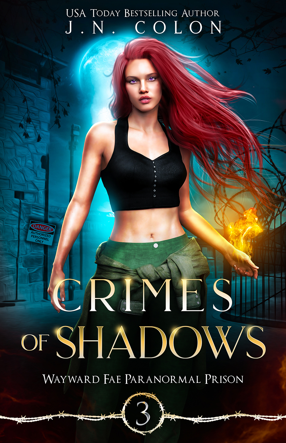 Wayward Fae Paranormal Prison book cover 3