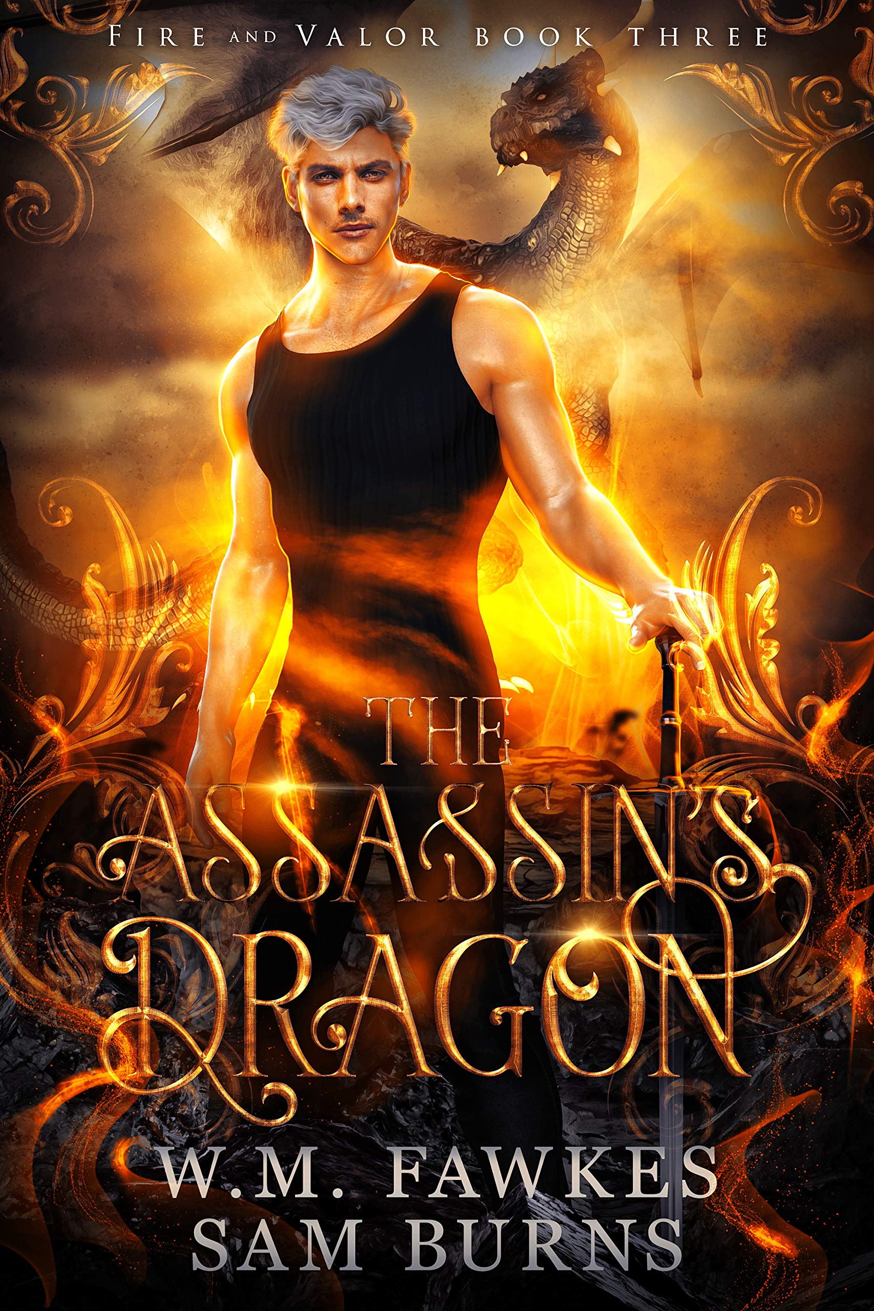 Fire and Valor book cover 3