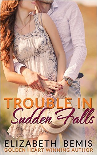 Trouble in Sudden Falls book cover
