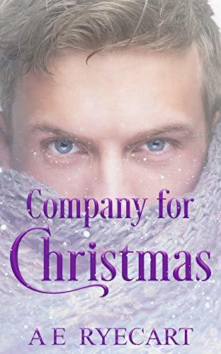 Company for Christmas book cover