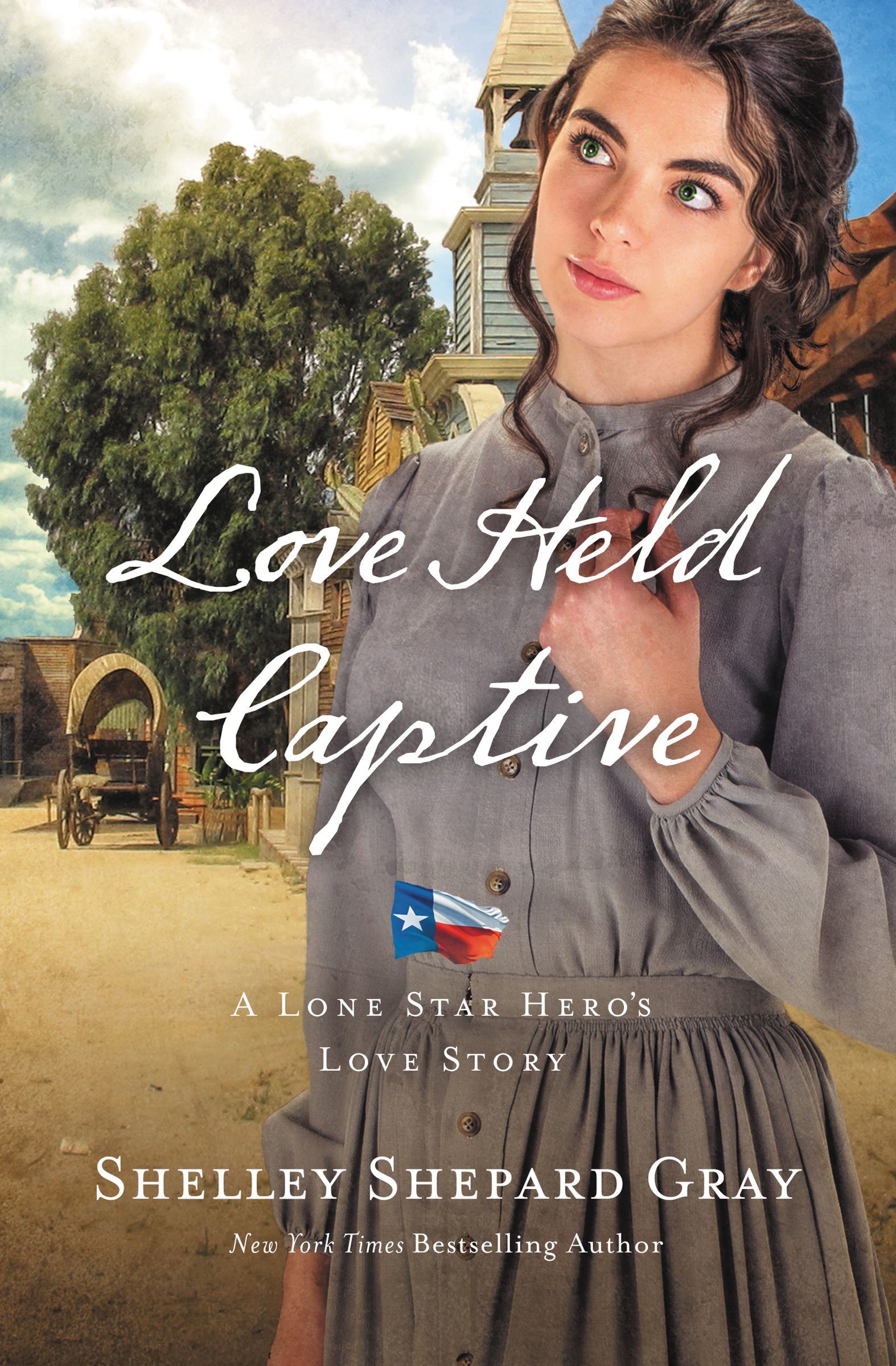 Lone Star Hero book cover 3