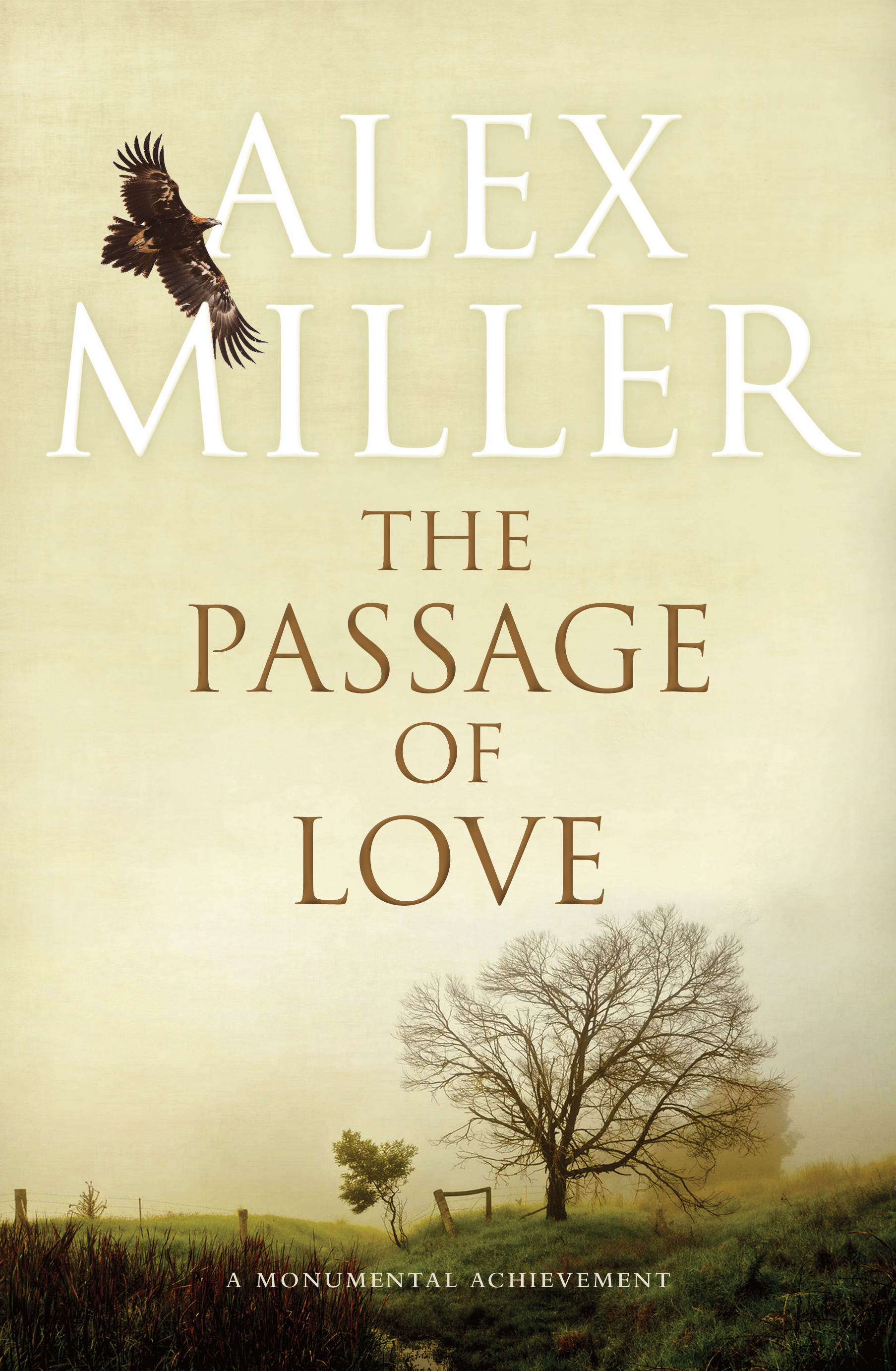 The Passage of Love book cover