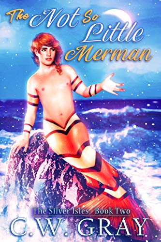 The Silver Isles book cover 2