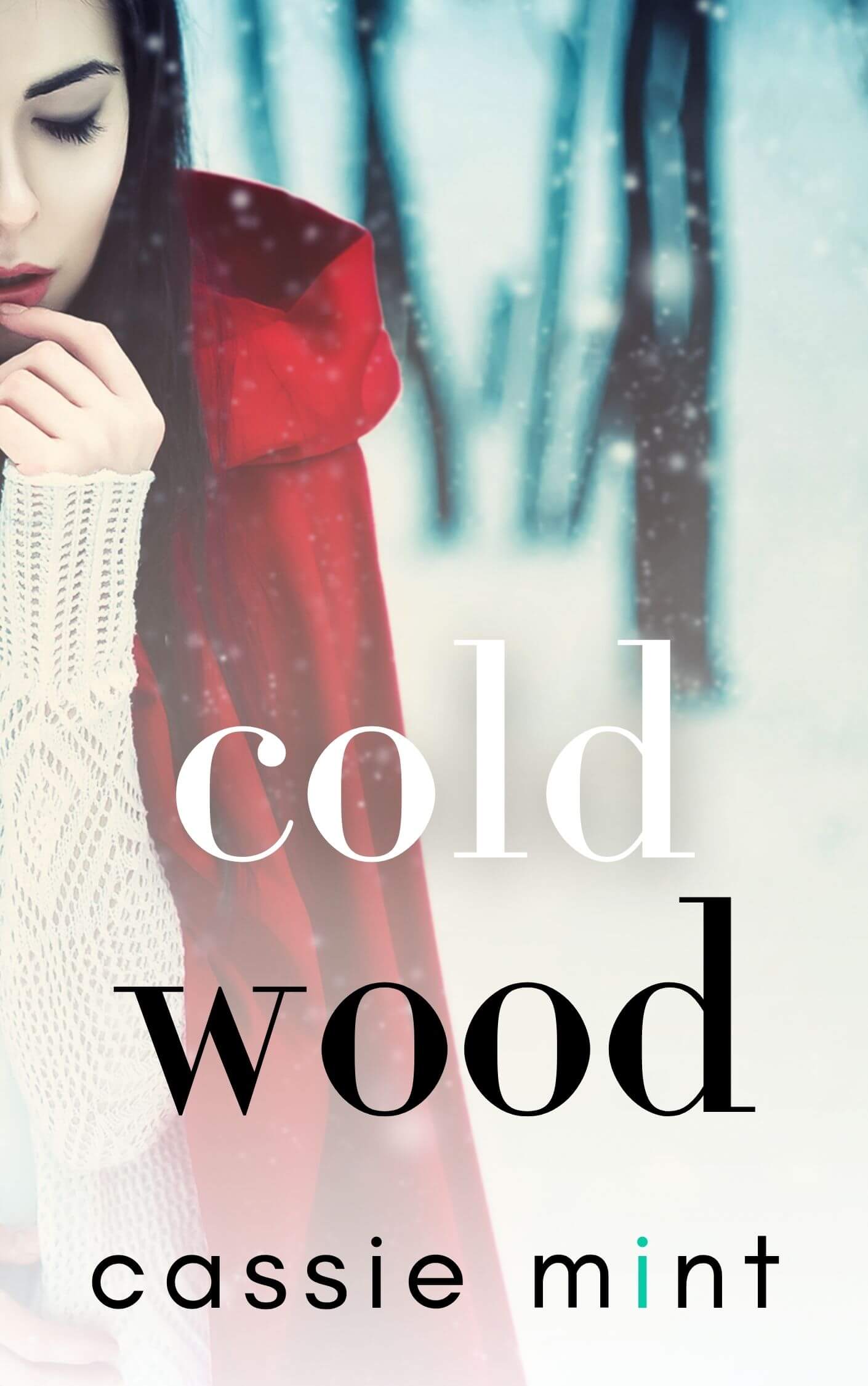 Winter Warmers book cover 1