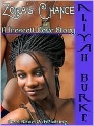 Zora's Chance book cover