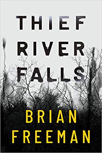 Thief River Falls book cover