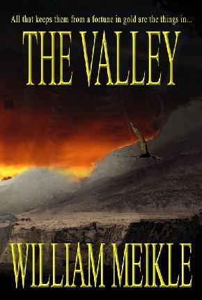 The Valley book cover