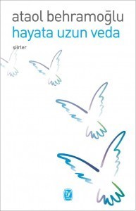 Hayata Uzun Veda book cover