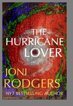 The Hurricane Lover book cover