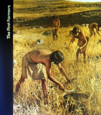 The First Farmers book cover