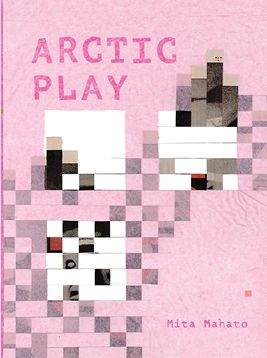 Arctic Play book cover