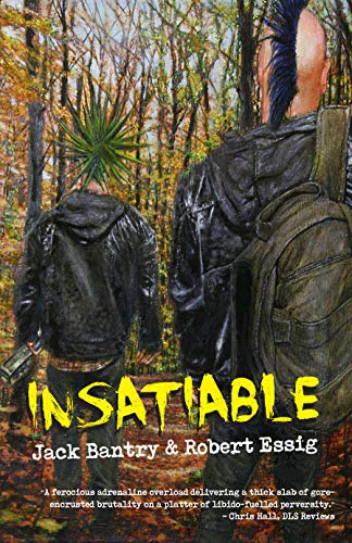 Insatiable book cover
