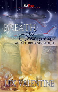 Afterburner book cover 2
