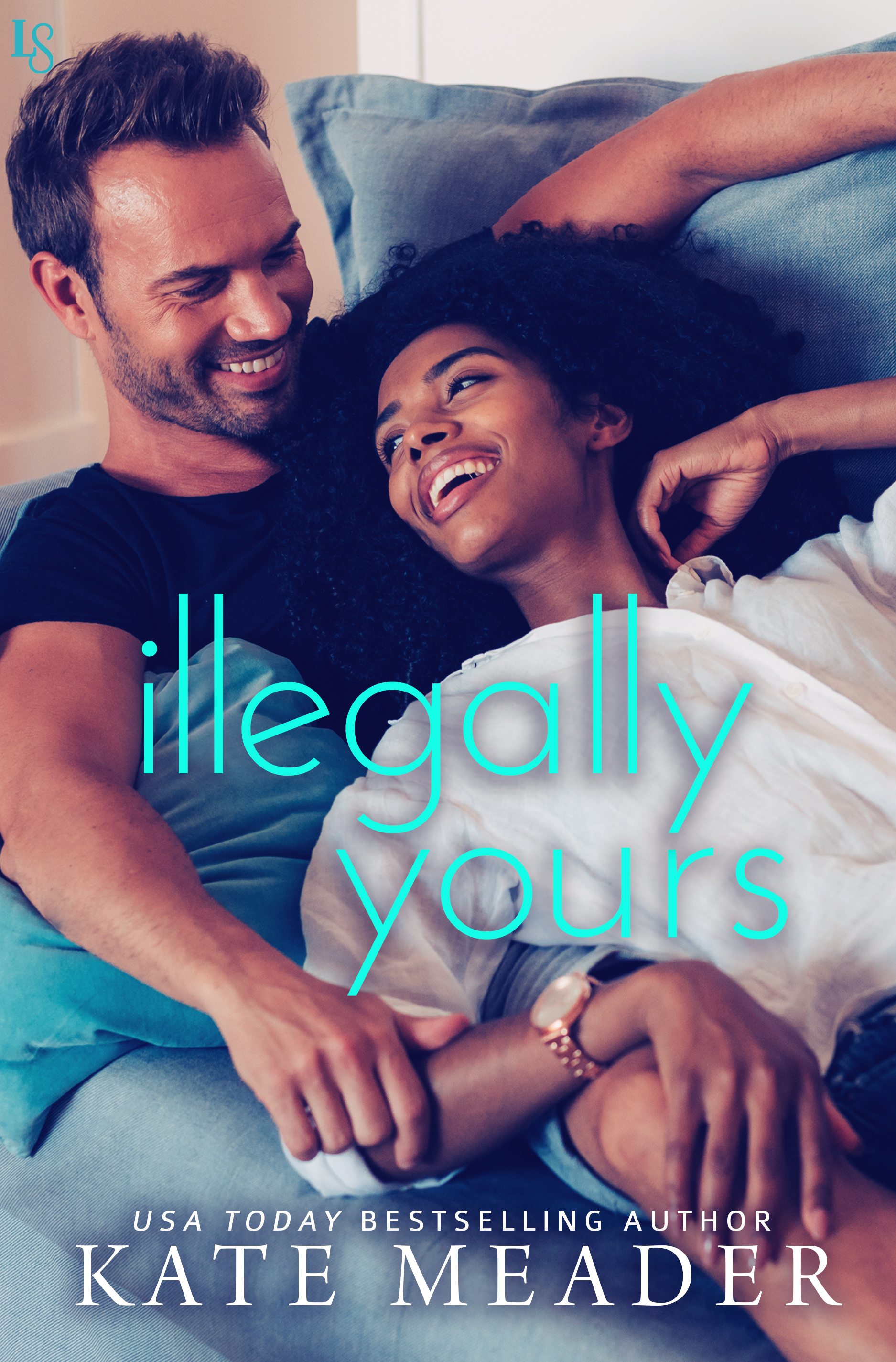 Laws of Attraction book cover 2