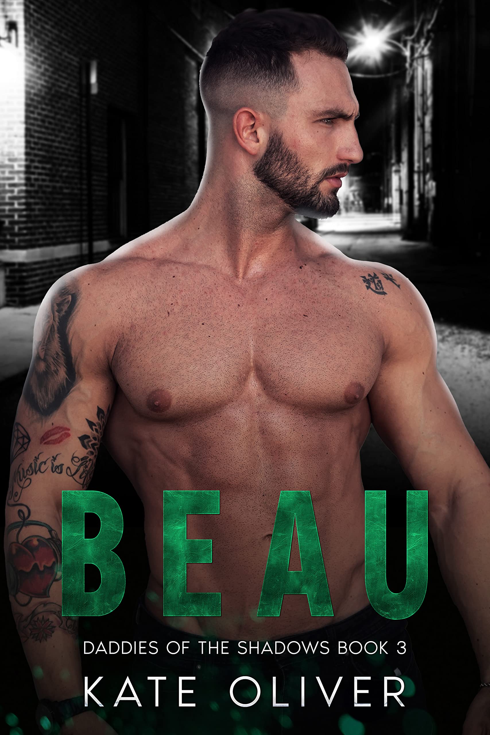 Daddies of the Shadows book cover 3