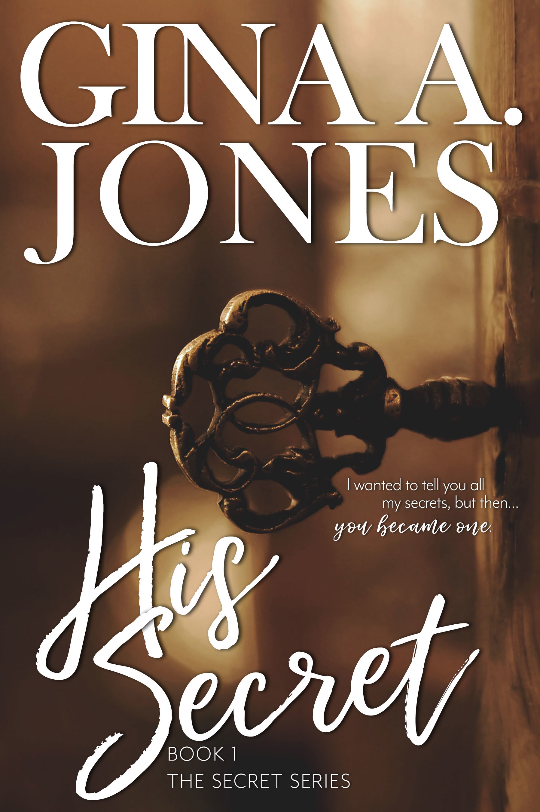 The Secret Series book cover 1