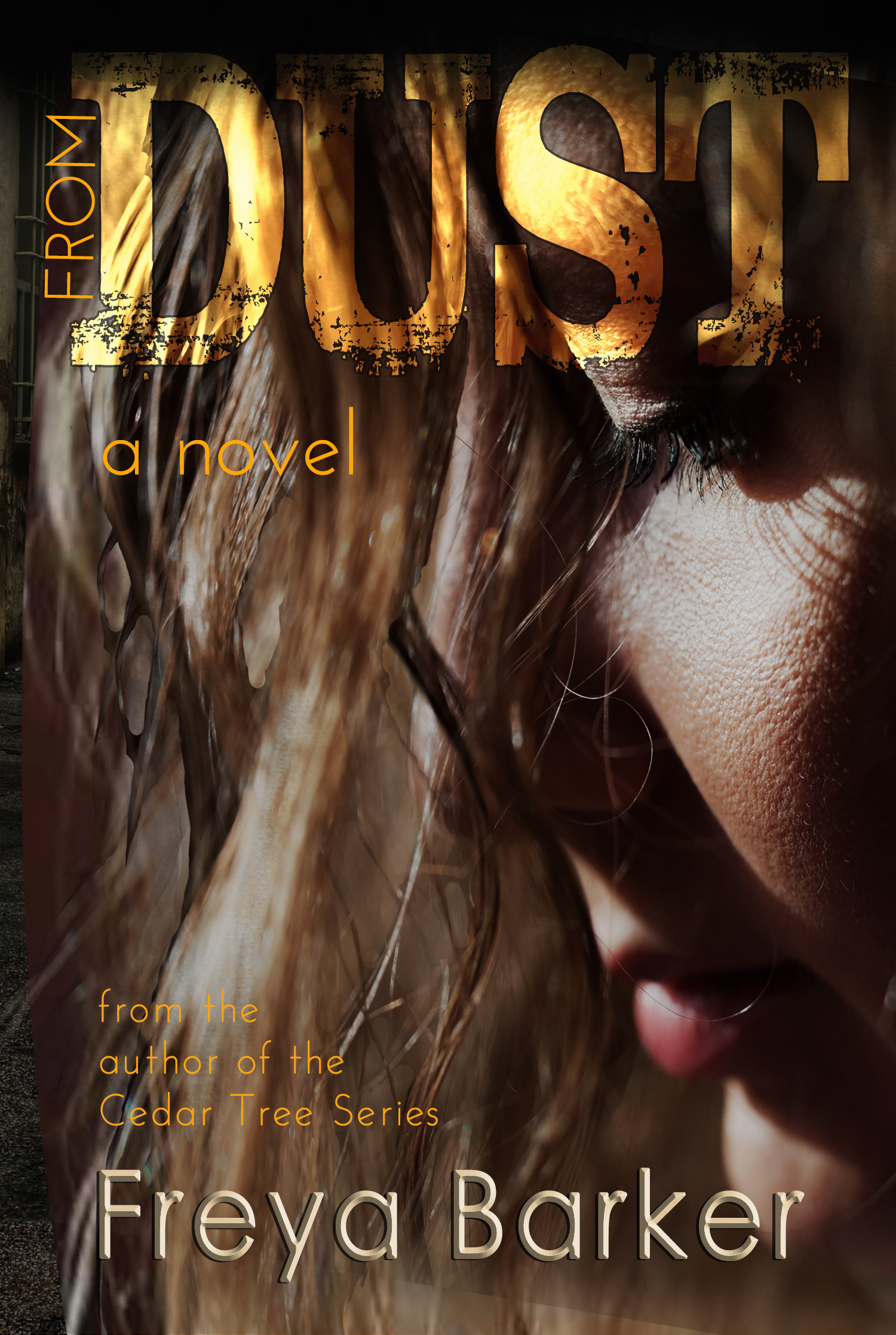 Portland ME book cover 1