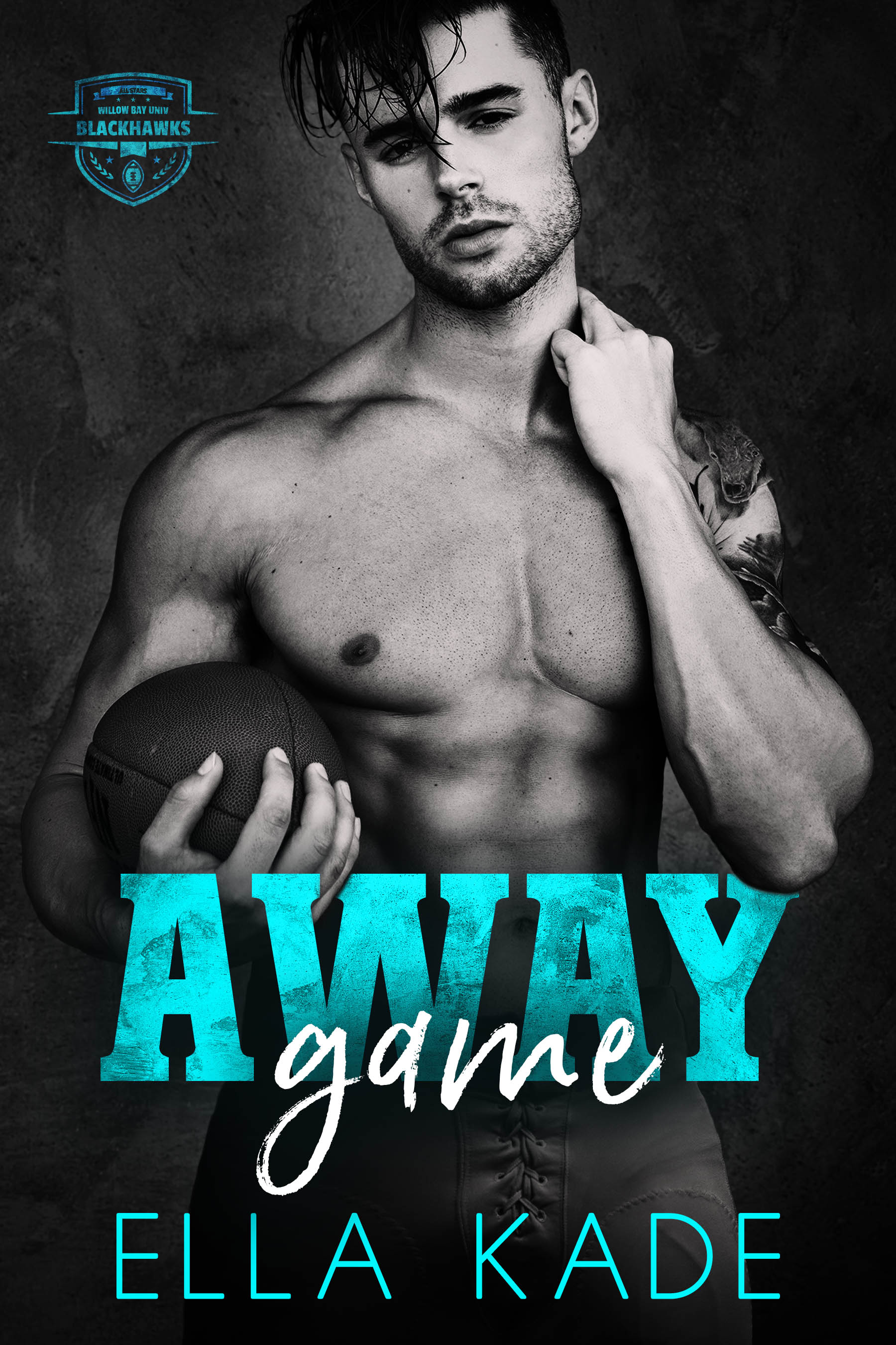 Willow Bay book cover 1