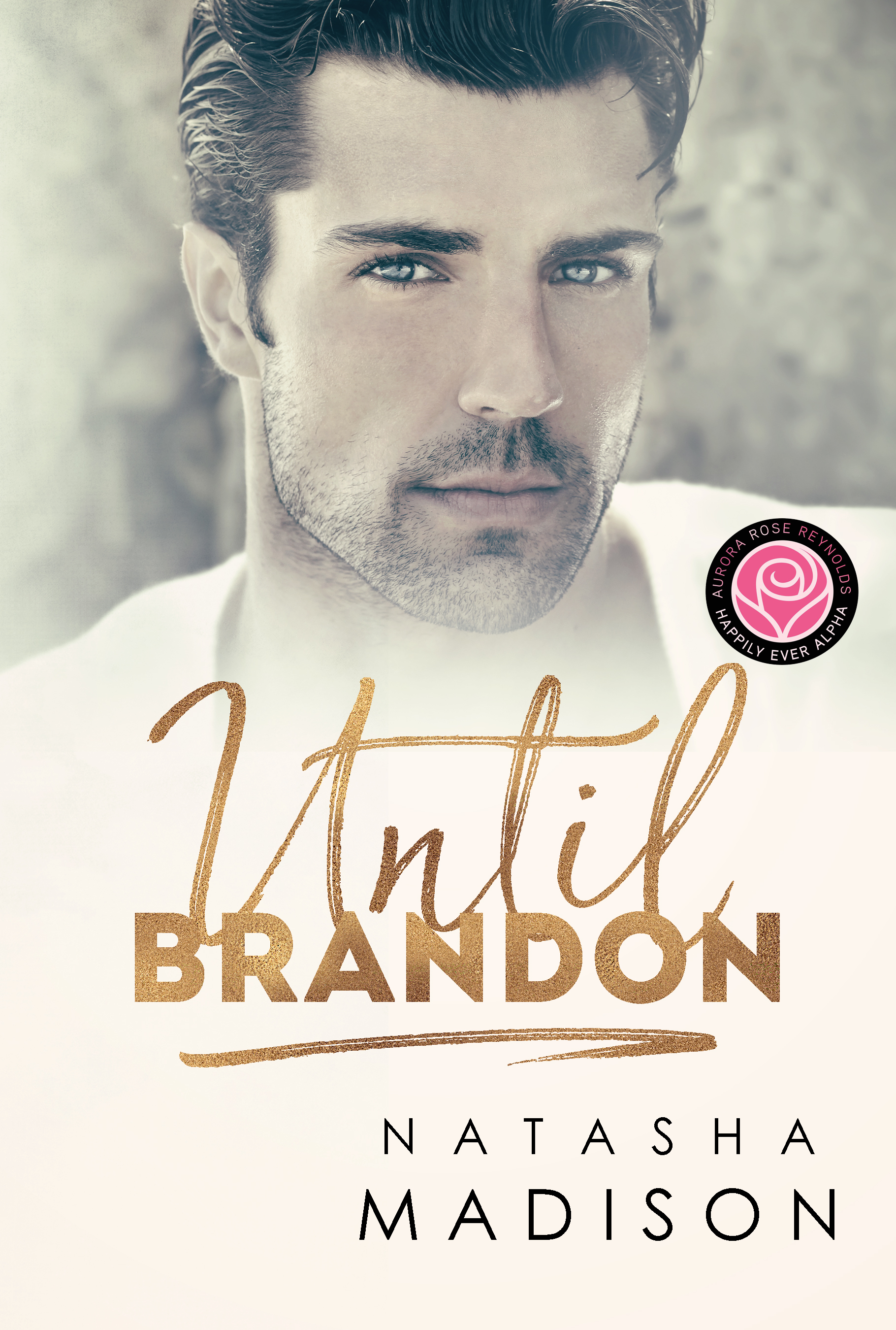 Until Brandon book cover