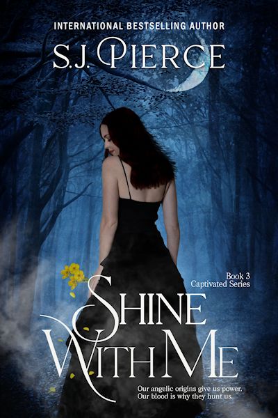 Captivated book cover 3