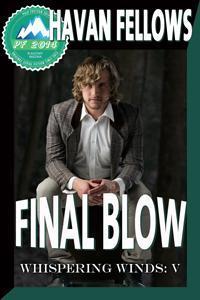 Final Blow book cover