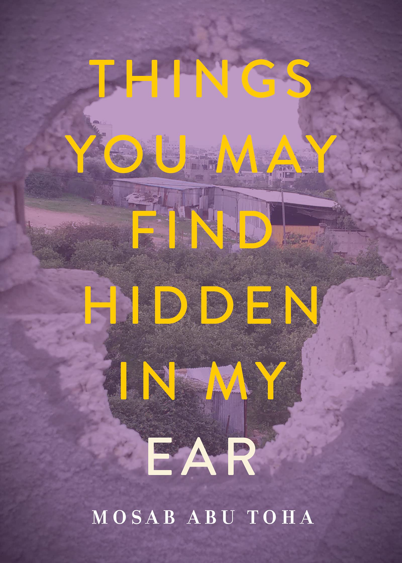 Things You May Find Hidden in My Ear book cover