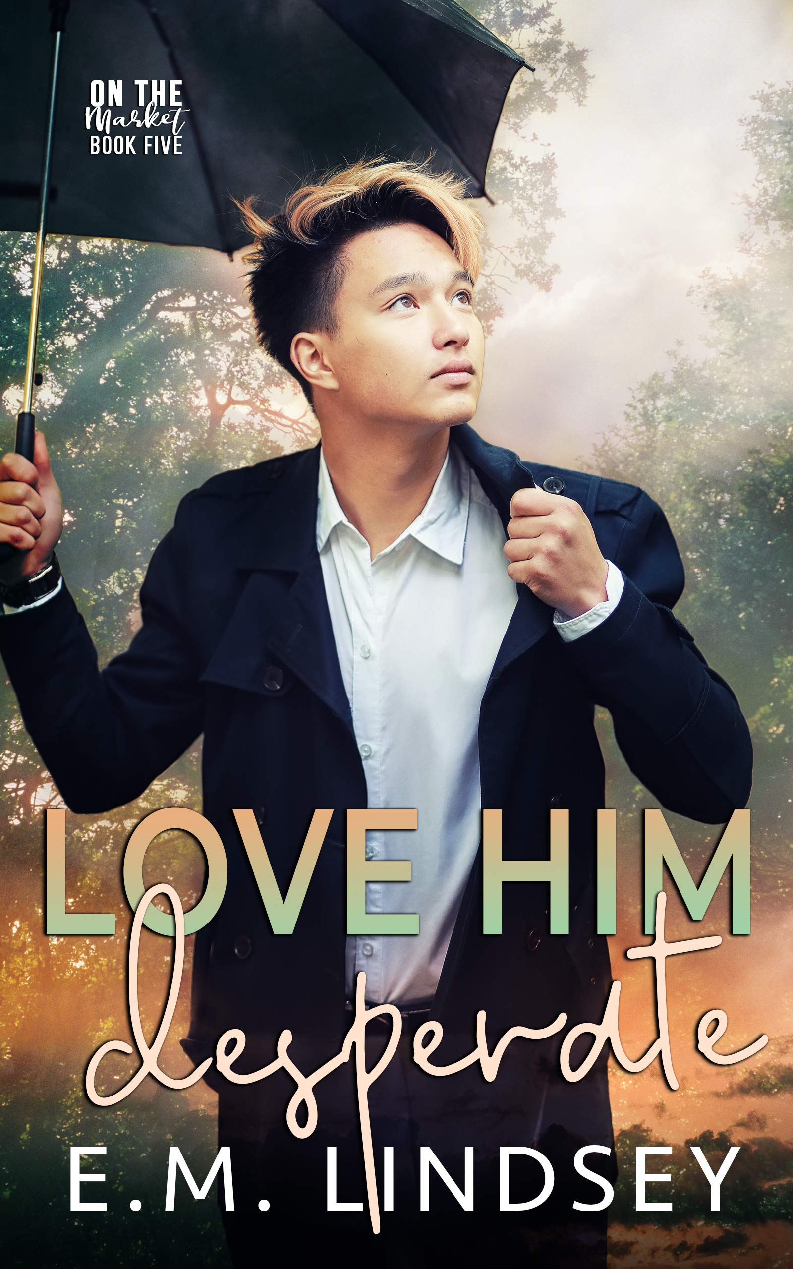Love Him Desperate book cover