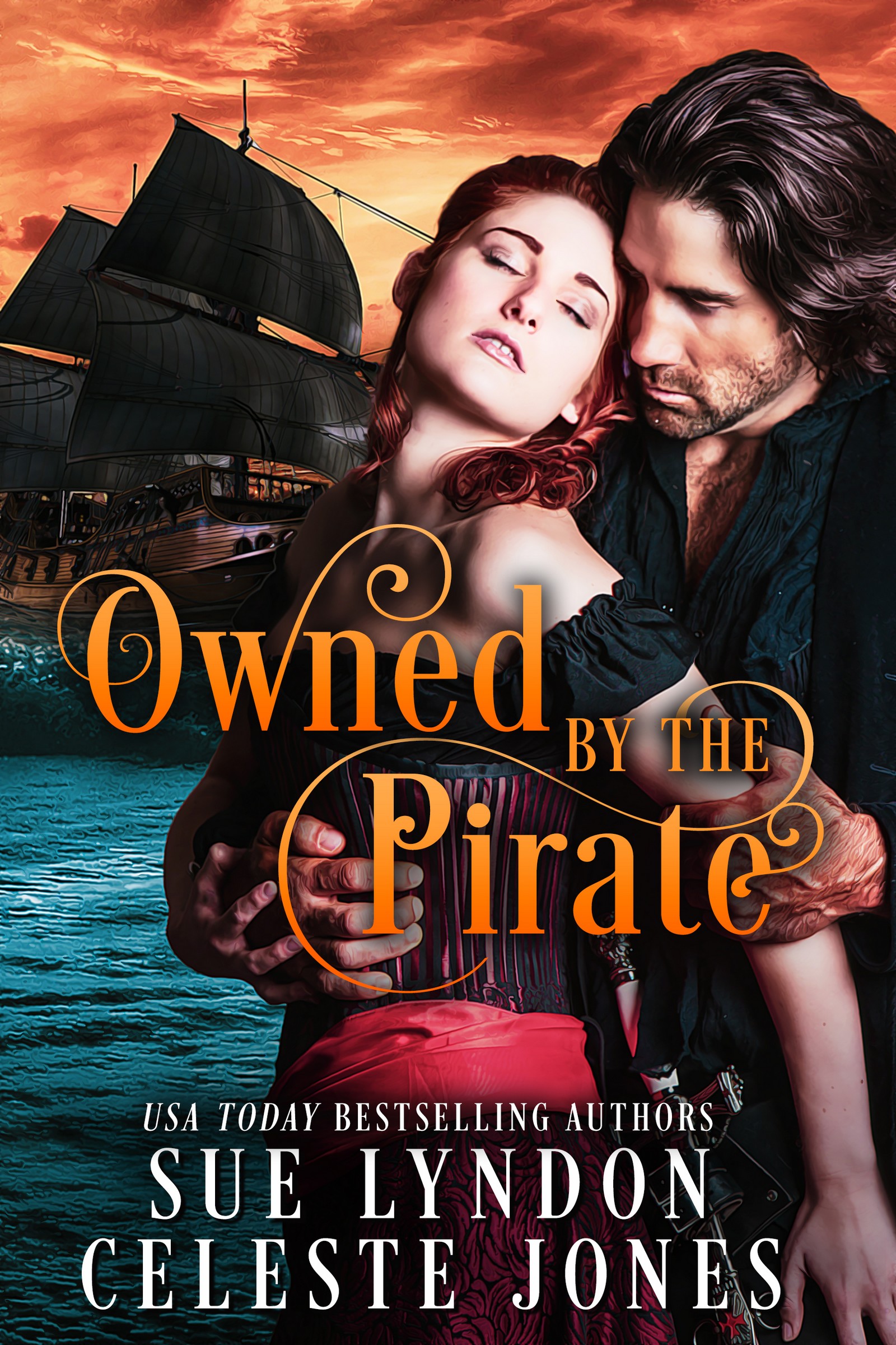 Owned by the Pirate book cover