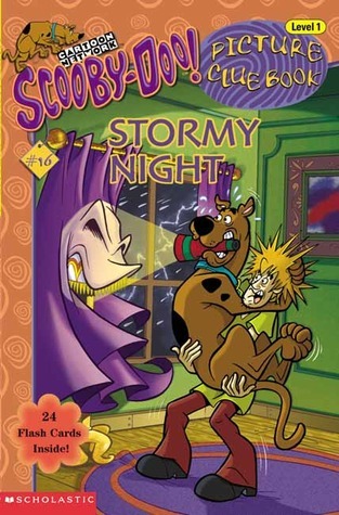 Stormy Night book cover