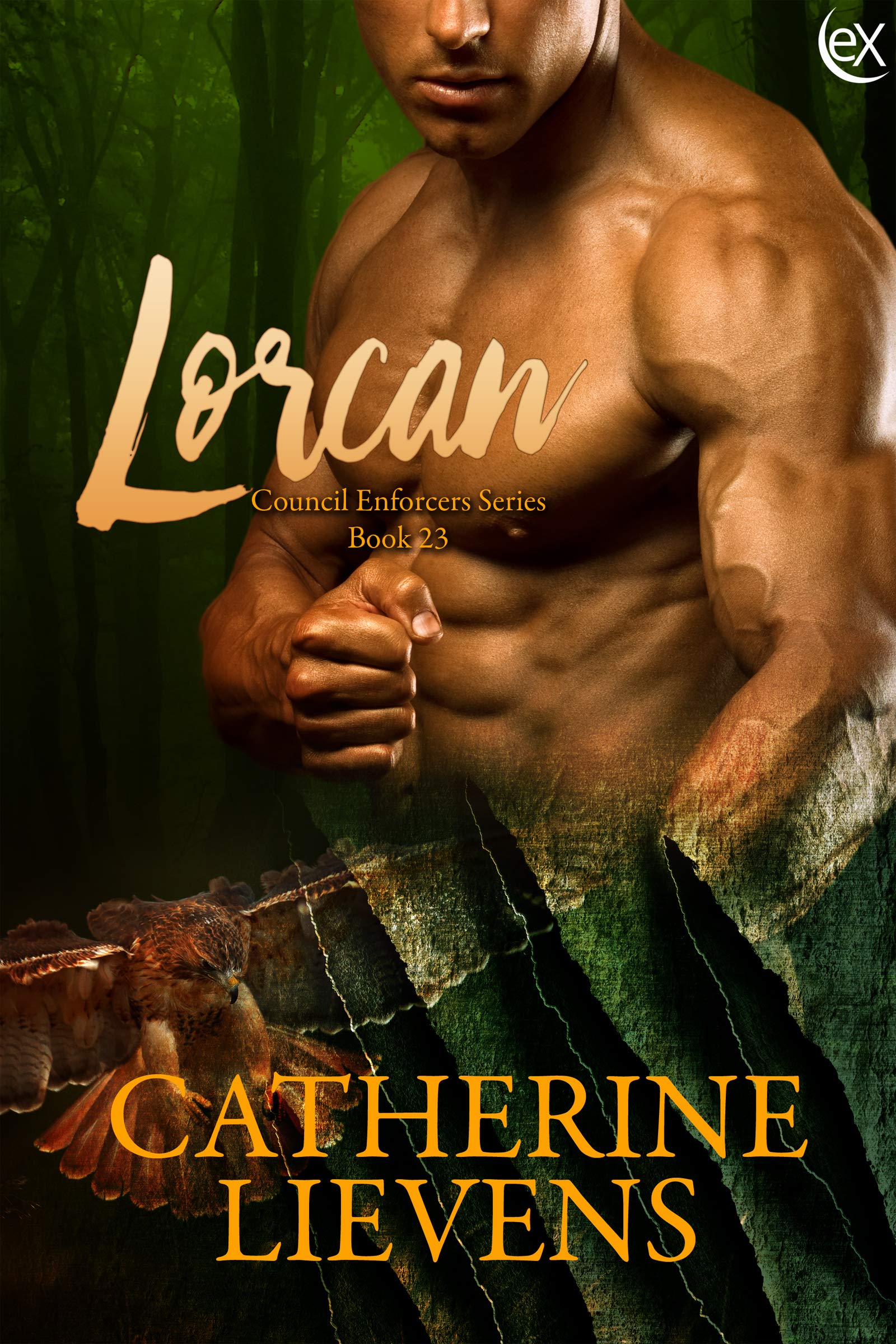 Lorcan book cover