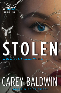 Stolen book cover