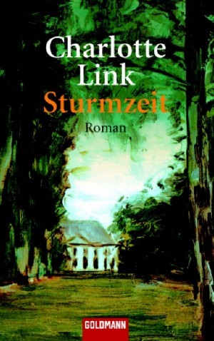 Time of Storm book cover
